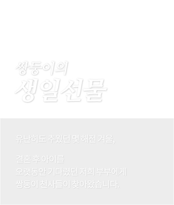 쌍둥이의 생일선물 - 유난히도 추웠던 명 해전 겨울, 결혼 후 아이를 오랫동안 기다렸던 저희 부부에게 쌍둥이 천사들이 찾아왔습니다.